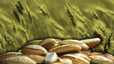 Türkiye'nin en verimli toprakları... Kurak vurdu, buğdayda tablo vahim!