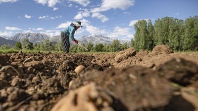 Çiftçilere 3,3 milyar lira destek ödemesi bugün yapılacak