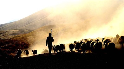329 hayvancılık projesine 3,6 milyar liralık hibe desteği