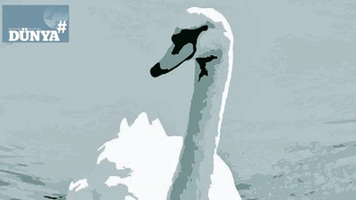 Belirsizlik döneminin üç senaryosu