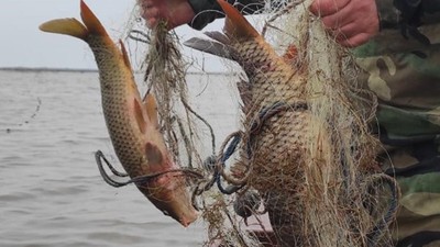 Yasadışı balık avlayanlara ceza yağdı