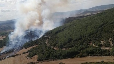 Çanakkale'de çıkan orman yangını söndürüldü