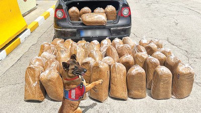 Vergiden kaçan bağımlının faturası 160 milyar TL’yi buldu