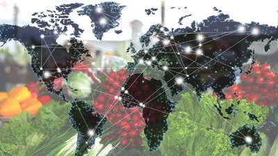 Güvenilir gıda tedarikçiliği sektörün değerini artıracak   