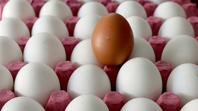 Ticaret Bakanlığı yumurtaya muafiyet düzenlemesi getirdi