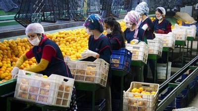 Tarım, gıda ve içecek sektöründen ilk 4 ayda 9,22 milyar dolarlık ihracat