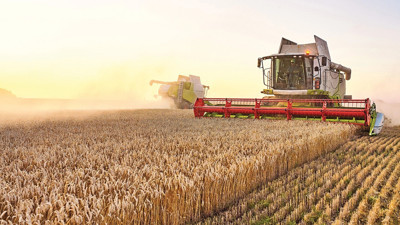 Bitkisel üretim desteklerine yönelik esaslar düzenlendi