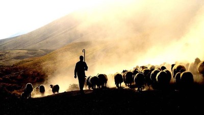 Hayvancılığa "yabancı çoban" desteği