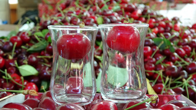 Bu kiraz özel kiraz! Kilosu 400 liradan başlıyor, 700 liraya kadar çıkıyor