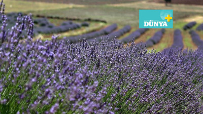 Haziranda ölmek zor