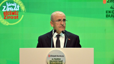 Hazine ve Maliye Bakanı Şimşek: Dezenflasyon süreci bir yıldır kesintisiz sürüyor