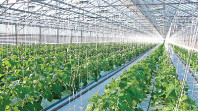 Bu desteklere ‘tamamlayıcı’ adım şart