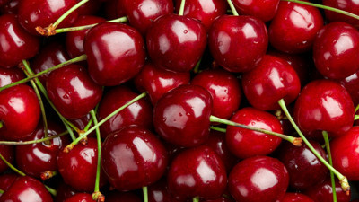 Zirai don, kirazı vurdu: 61 bin tonluk ihracat kaybı