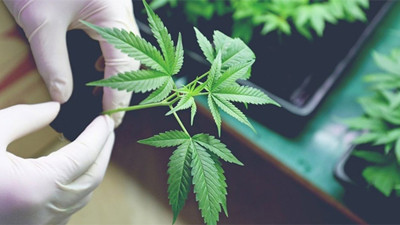 Ürünler eczanelerde satılacak, sıkı takip edilecek!