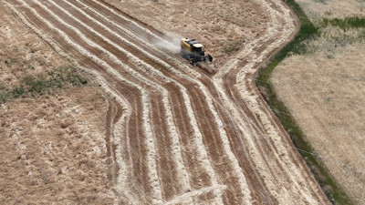 Türkiye'nin tahıl ambarı: Hasat başladı! Buğday ve arpada yüzler gülecek