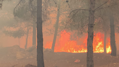 Antalya’da orman yangınları! 3 ilçe alev alev, ekipler müdahale ediyor.