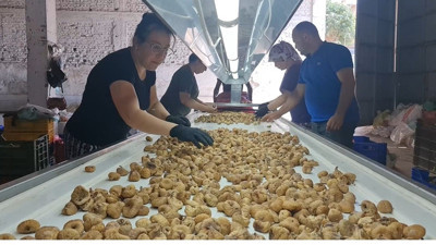 Maaş asgari ücretin 4 katından fazla!