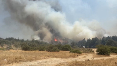 İzmir'in Bornova ve Buca ilçesinde orman yangını