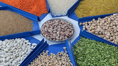 Tarım, gıda ve içecek sektörünün ilk 6 aylık ihracat rakamı belli oldu