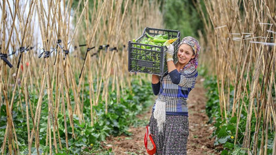 Gençlere tarımda süper teşvik