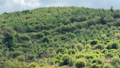 15 gündür aranıyordu: Arnavutköy’de kaybolan Alzheimer hastası Yusuf Bayraktar’dan acı haber