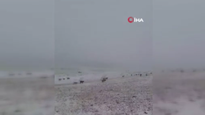 Erzurum’a kış erken geldi: İlk kar yağışı başladı