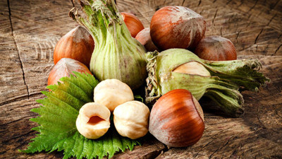 Fındık fiyatı 11 liranın da altına düştü