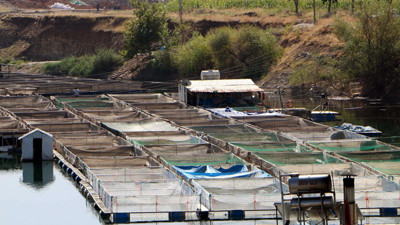 Denizi yok, 15 ülkeye balık ihraç ediyor