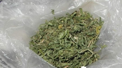 Afganistan'da afyon üretimi yüzde 43 arttı