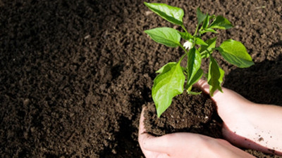 Türkiye’nin tarım alanları kararıyor