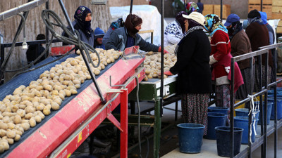 Patates fiyatı yükselişe geçti