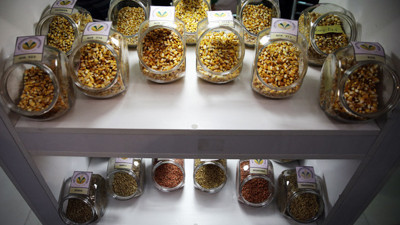 Sera-Bahçe Fuarı açıldı