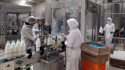 'Türkiye'nin süt toplanması sorunu var'