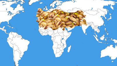 Antep fıstığı uluslararası piyasada iddialı