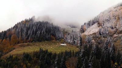 Zigana'da kartpostallık manzaralar