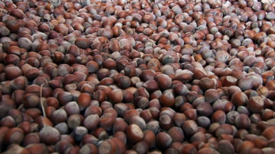 Fiyat tepkisi fiyat arttırdı