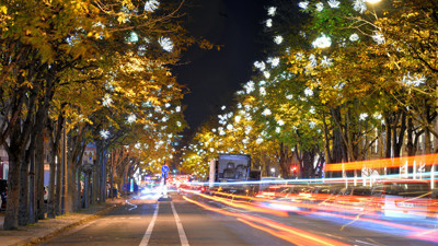 Paris'te noel heyecanı başladı