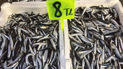 Hamsi fiyatında büyük düşüş