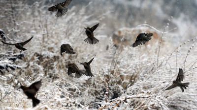 Ankara'ya kar uyarısı