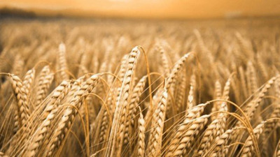 Dünyada arttı, Türkiye'de azaldı