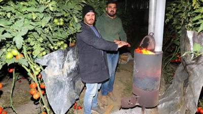 Domates üreticisinden don nöbeti