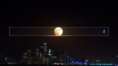 Bütün dünya onları aradı!