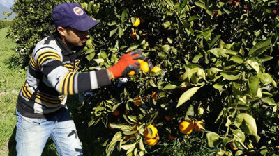 70- 80 kuruşa alıcı buluyor