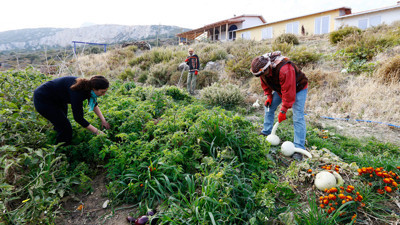 İş dünyasını bırakıp çiftlik kurdu