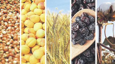 Ürün Borsası faaliyete geçtiğinde 9 borsanın yetkisi kalkacak