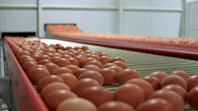 Yumurta üreticilerinden KDV indirimi talebi