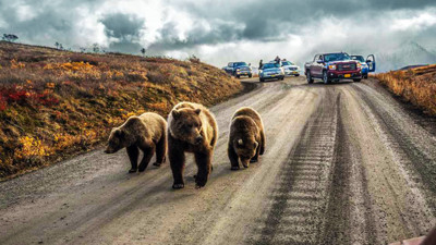 National Geographic 2016'nın enlerini seçti