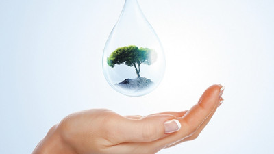 Ağaçlarla serinleyelim!