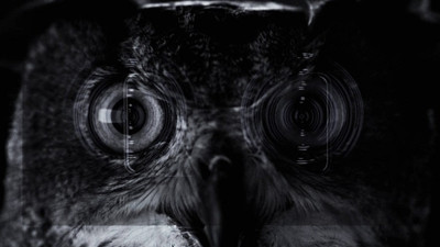 iPhone 7'den sanatsal video