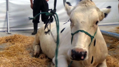 2. Ege Tarım ve Hayvancılık Fuarı açıldı